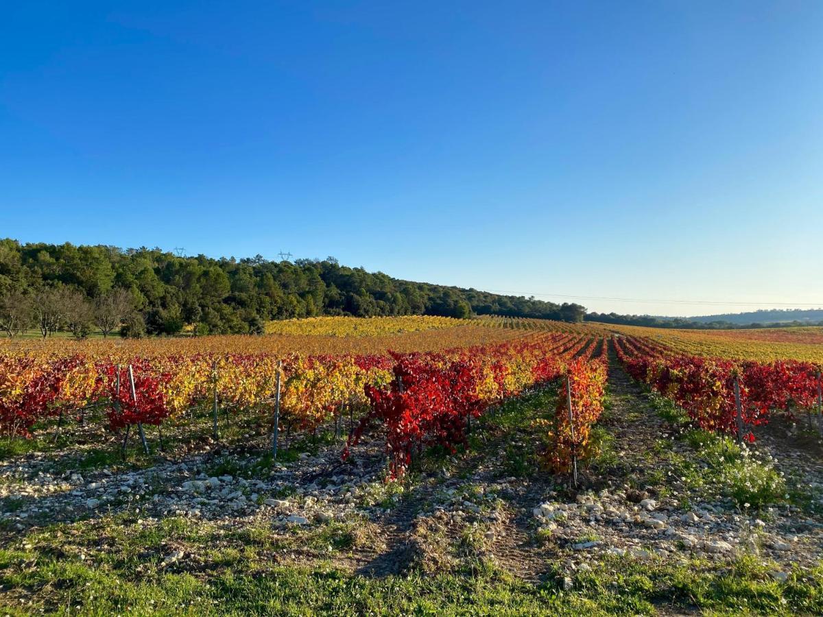 Domaine Du Commandeur Panzió Mondragon Kültér fotó